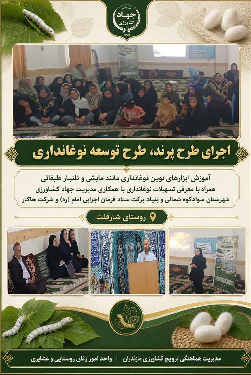 اجرای طرح توسعه نوغانداری؛ پیشران اشتغال زنان روستایی