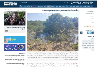 جنگ و مرگ مانگروها؛ ضرورت مداخله مجامع بین‌المللی