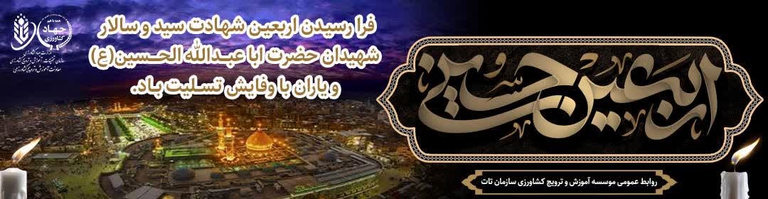تسلیت اربعین حسینی (ع)